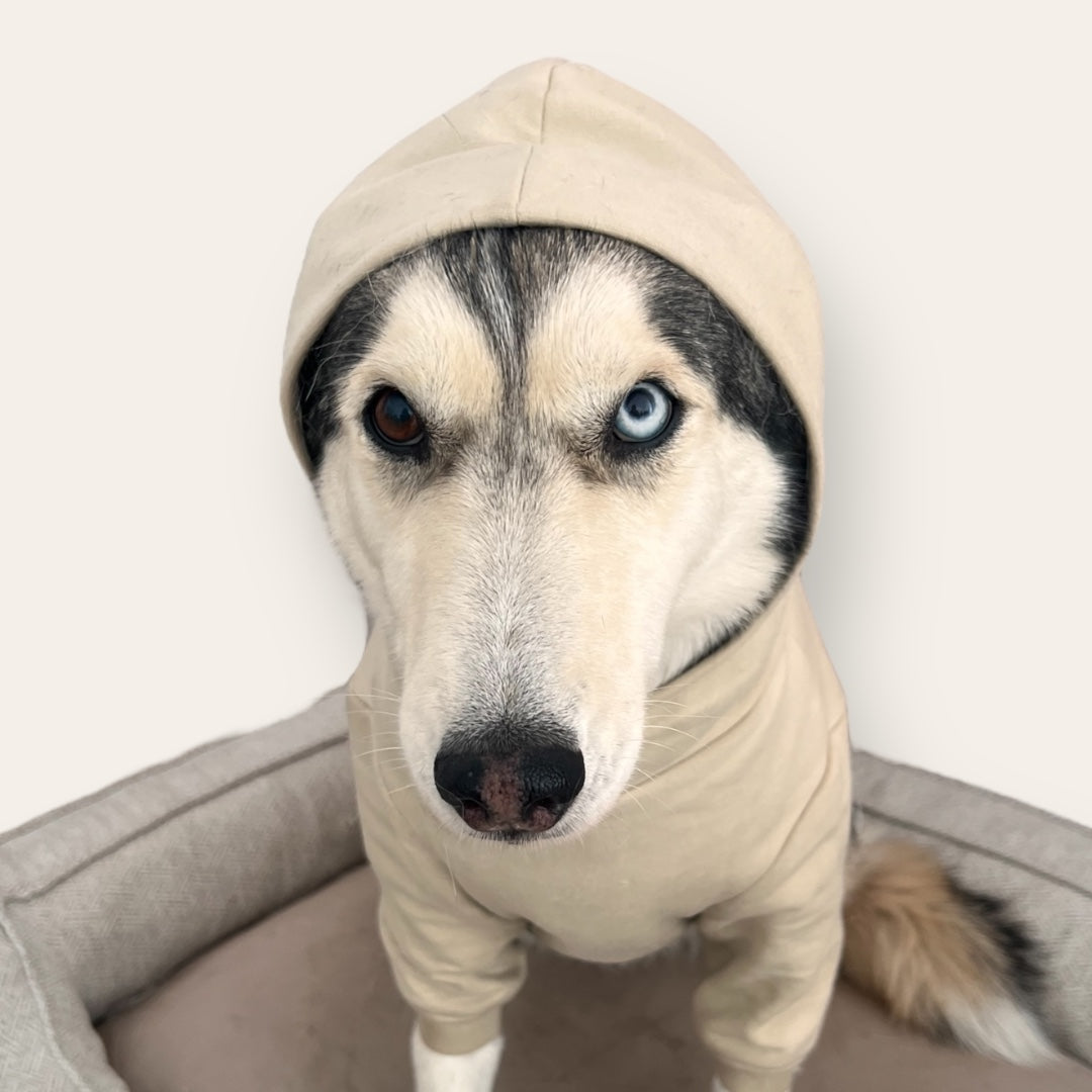 Sudadera de Felpa para Perrito